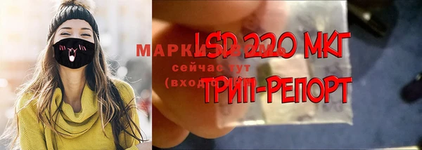 spice Магадан