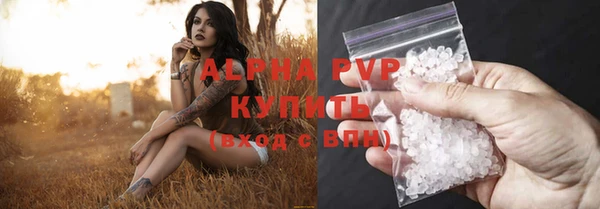 эйфоретик Майский
